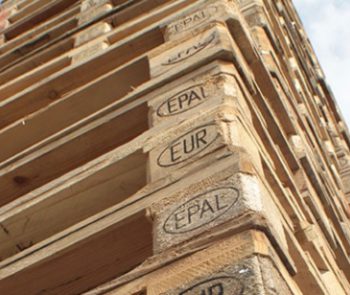 HDF Emballages, expert en valorisation et ventes de palettes